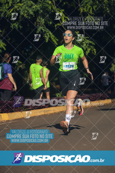 Vale Verde Run 2024