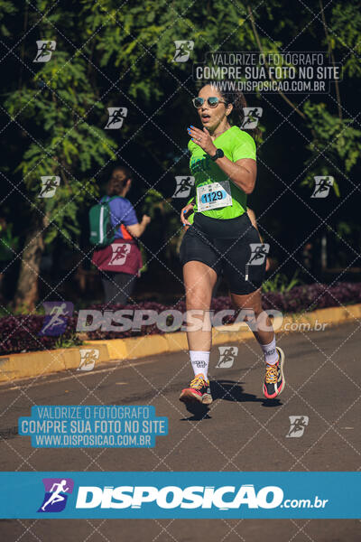 Vale Verde Run 2024