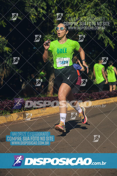 Vale Verde Run 2024