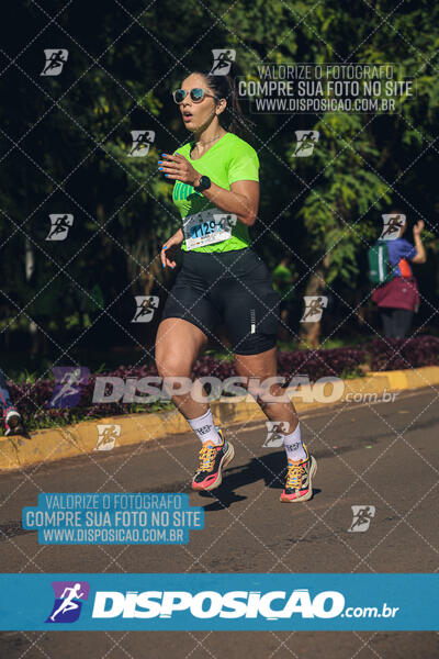 Vale Verde Run 2024