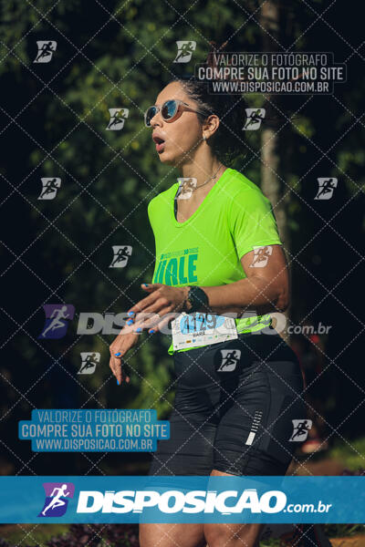 Vale Verde Run 2024