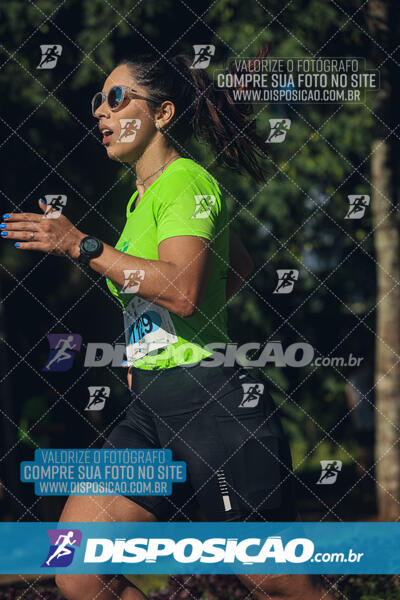 Vale Verde Run 2024