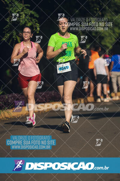 Vale Verde Run 2024