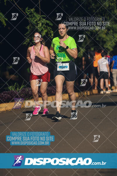 Vale Verde Run 2024