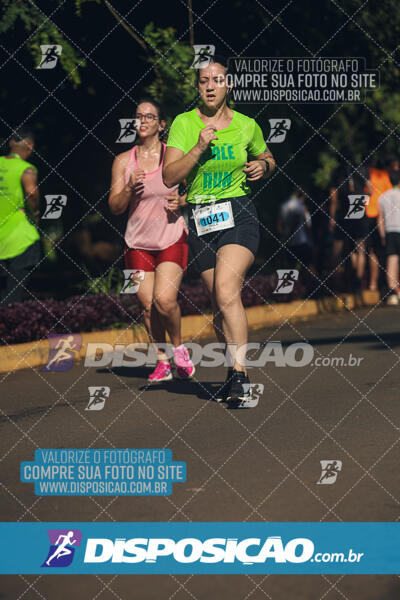 Vale Verde Run 2024