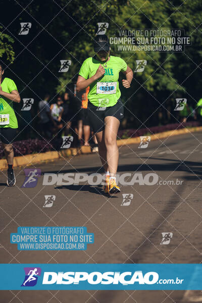 Vale Verde Run 2024