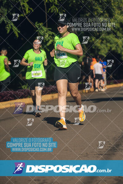 Vale Verde Run 2024