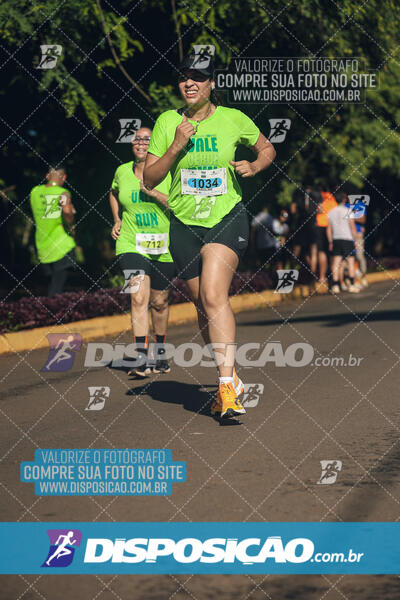 Vale Verde Run 2024