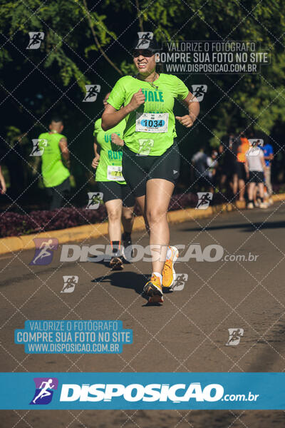 Vale Verde Run 2024