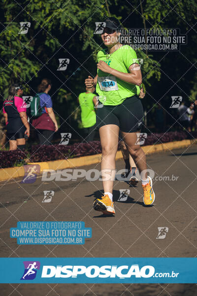 Vale Verde Run 2024