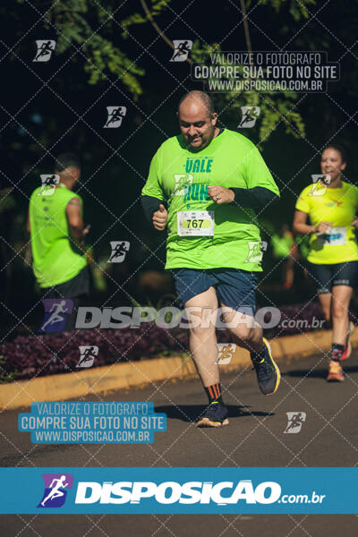 Vale Verde Run 2024