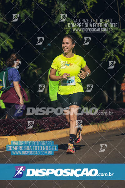 Vale Verde Run 2024