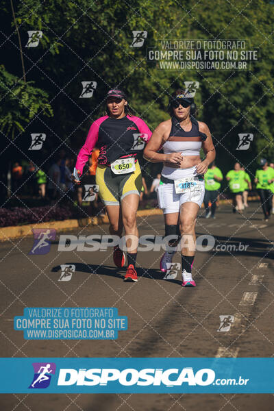 Vale Verde Run 2024