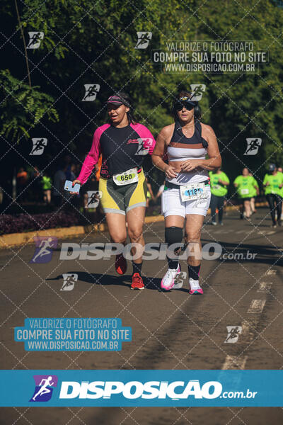 Vale Verde Run 2024