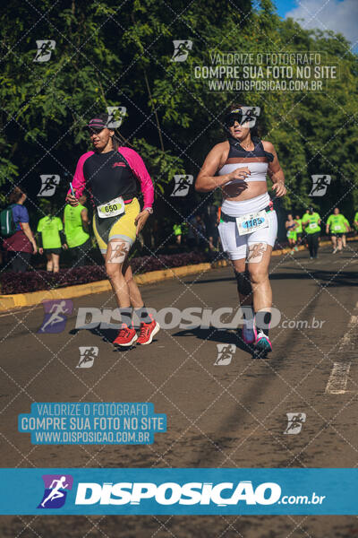 Vale Verde Run 2024