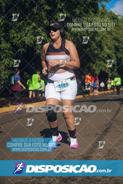 Vale Verde Run 2024