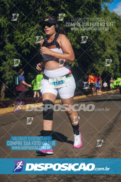 Vale Verde Run 2024