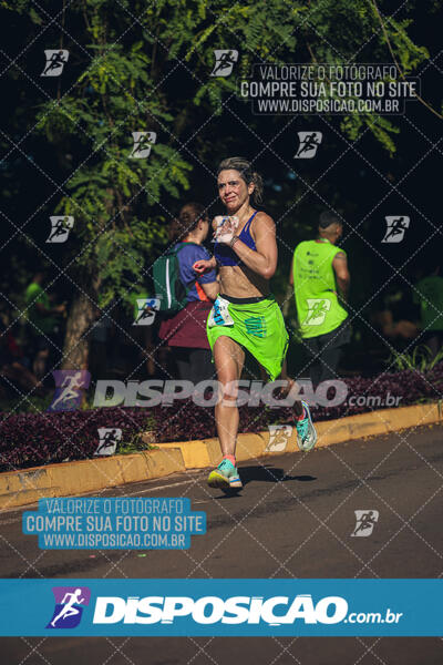 Vale Verde Run 2024