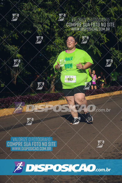 Vale Verde Run 2024