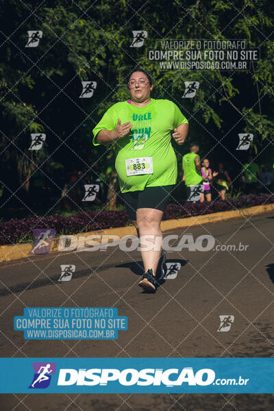 Vale Verde Run 2024