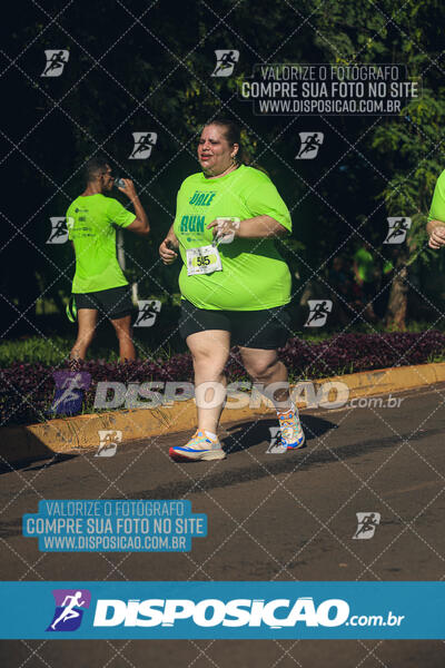 Vale Verde Run 2024