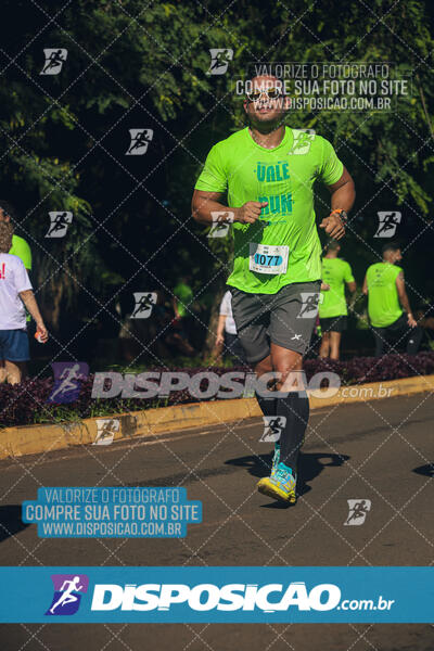 Vale Verde Run 2024