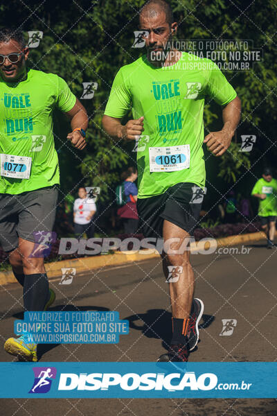 Vale Verde Run 2024