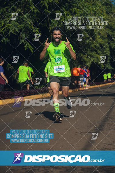 Vale Verde Run 2024