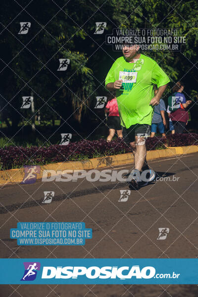 Vale Verde Run 2024