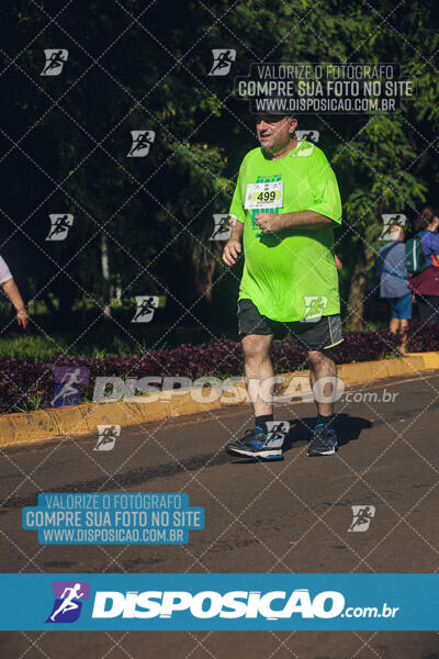 Vale Verde Run 2024