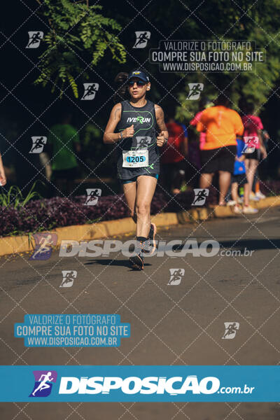 Vale Verde Run 2024