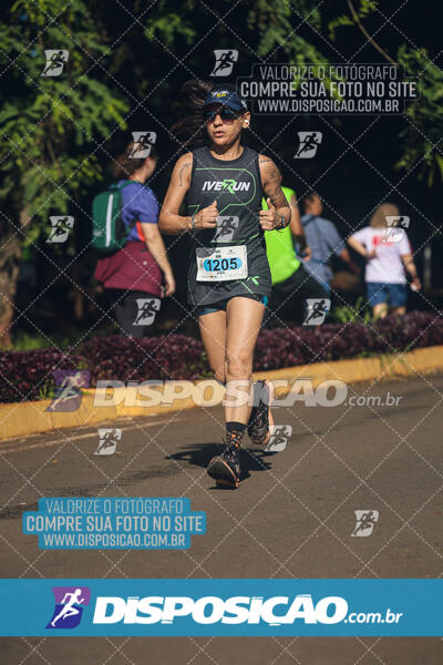 Vale Verde Run 2024