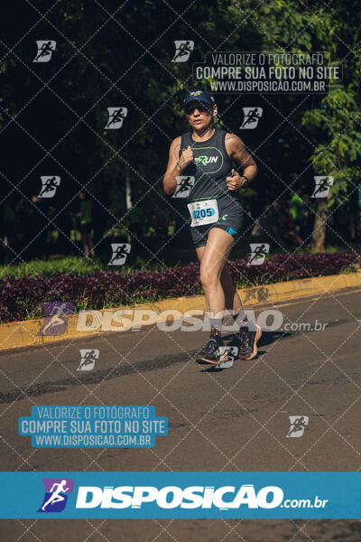 Vale Verde Run 2024