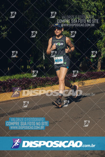 Vale Verde Run 2024