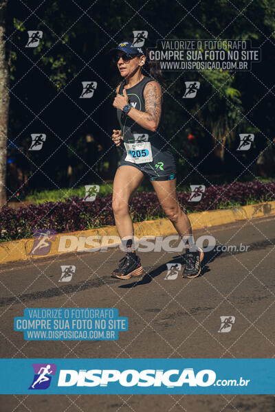 Vale Verde Run 2024