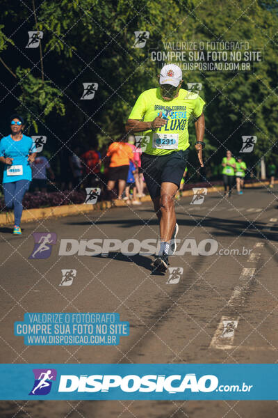 Vale Verde Run 2024