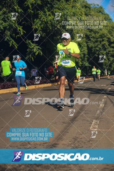 Vale Verde Run 2024