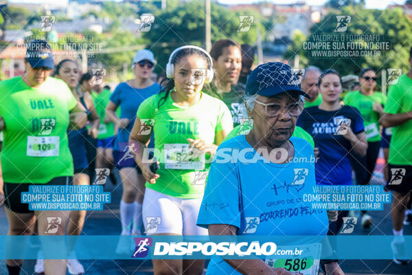 Vale Verde Run 2024