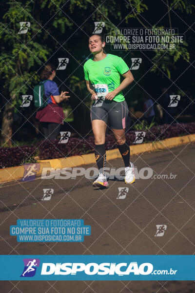 Vale Verde Run 2024