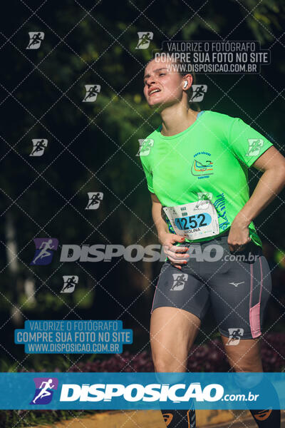 Vale Verde Run 2024