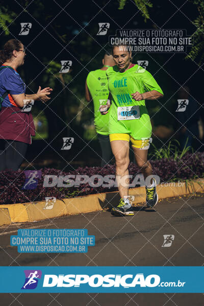 Vale Verde Run 2024