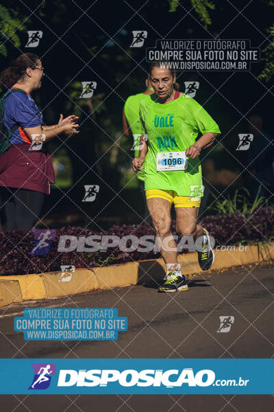 Vale Verde Run 2024