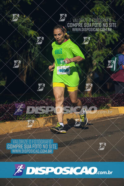 Vale Verde Run 2024