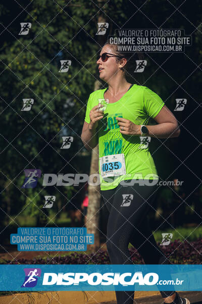 Vale Verde Run 2024