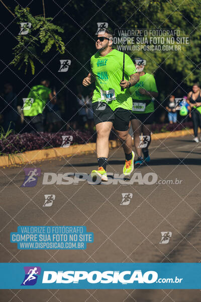 Vale Verde Run 2024