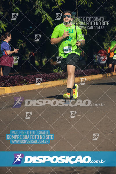 Vale Verde Run 2024