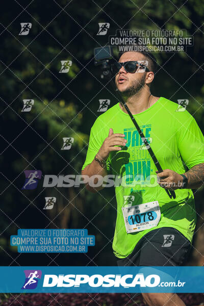 Vale Verde Run 2024