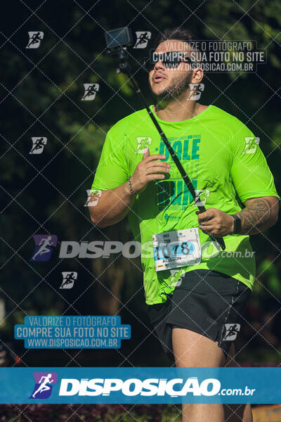 Vale Verde Run 2024