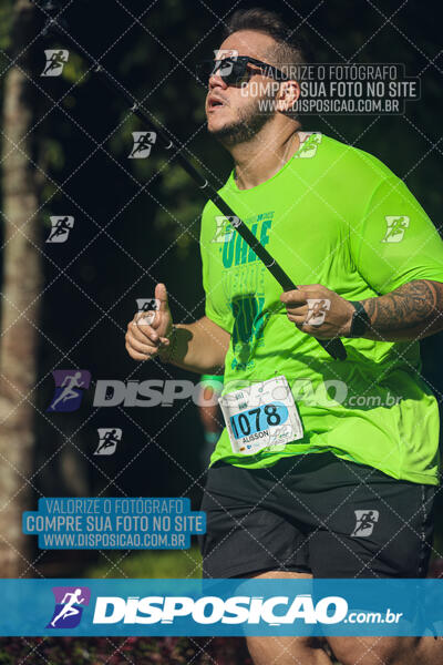 Vale Verde Run 2024