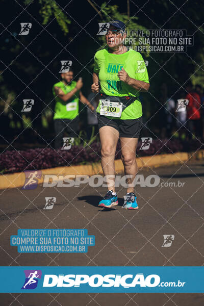 Vale Verde Run 2024